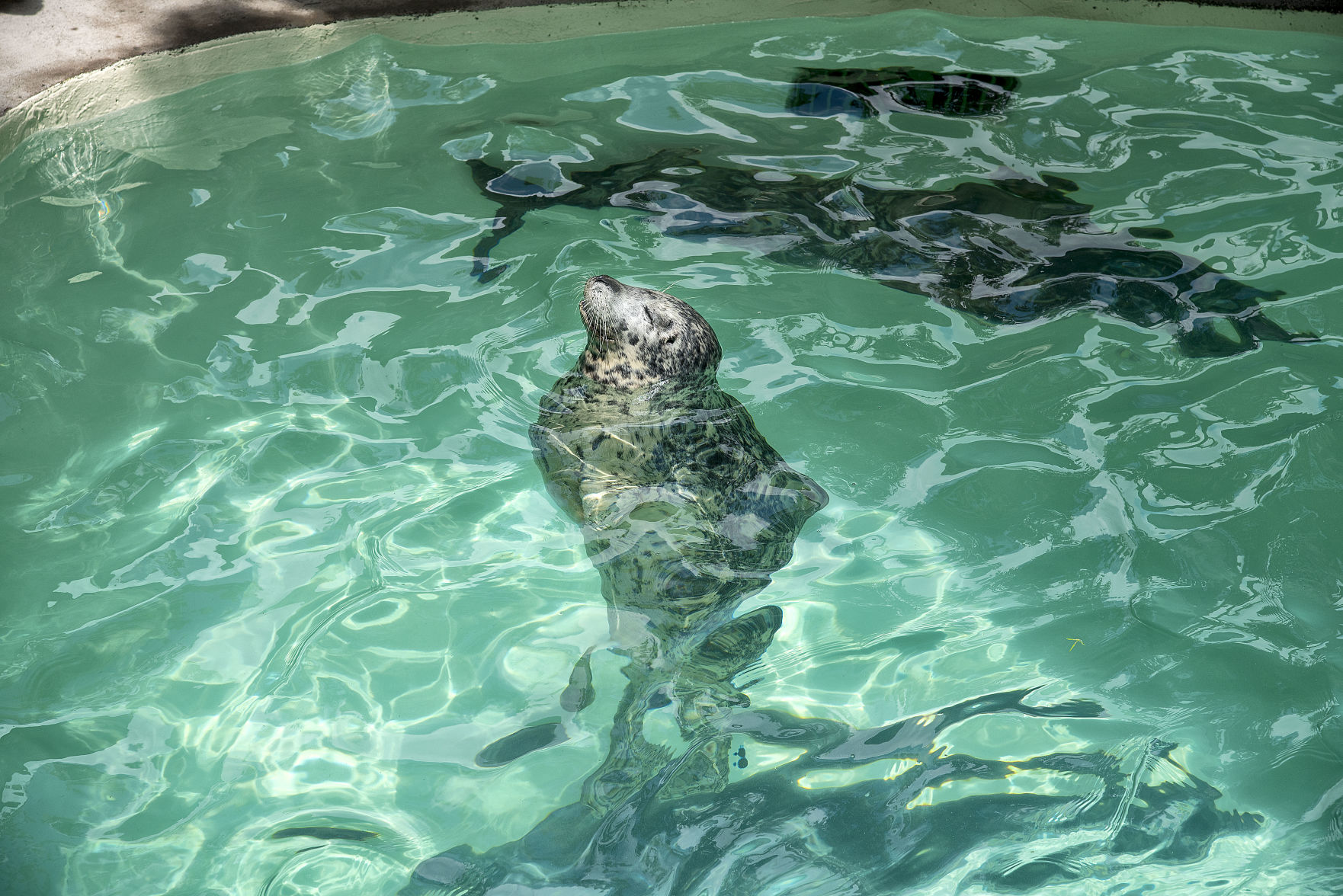 200630 Aquarium 2.jpg
